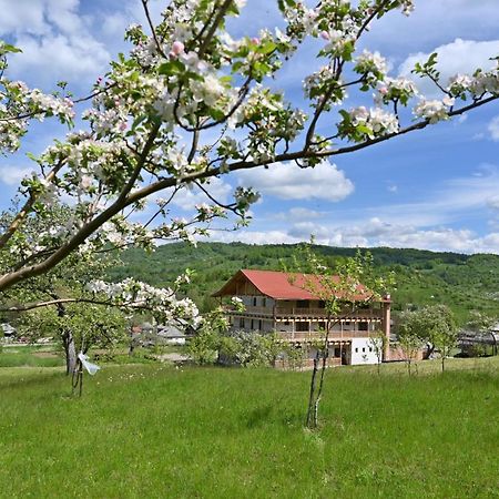 Pensiunea Plai Strabun Stramtura  ภายนอก รูปภาพ