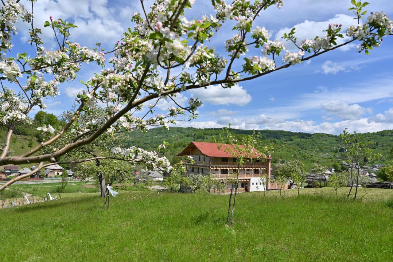 Pensiunea Plai Strabun Stramtura  ภายนอก รูปภาพ