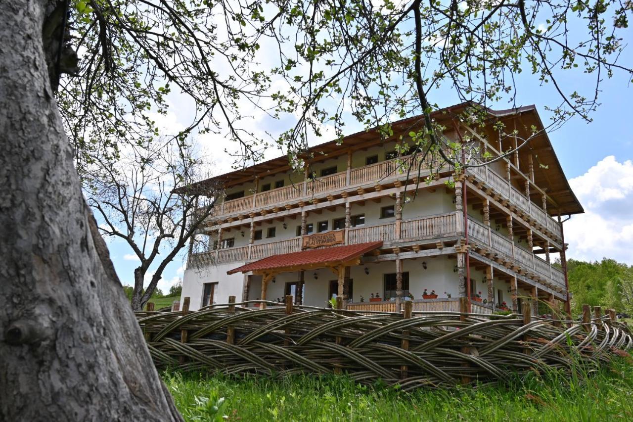 Pensiunea Plai Strabun Stramtura  ภายนอก รูปภาพ